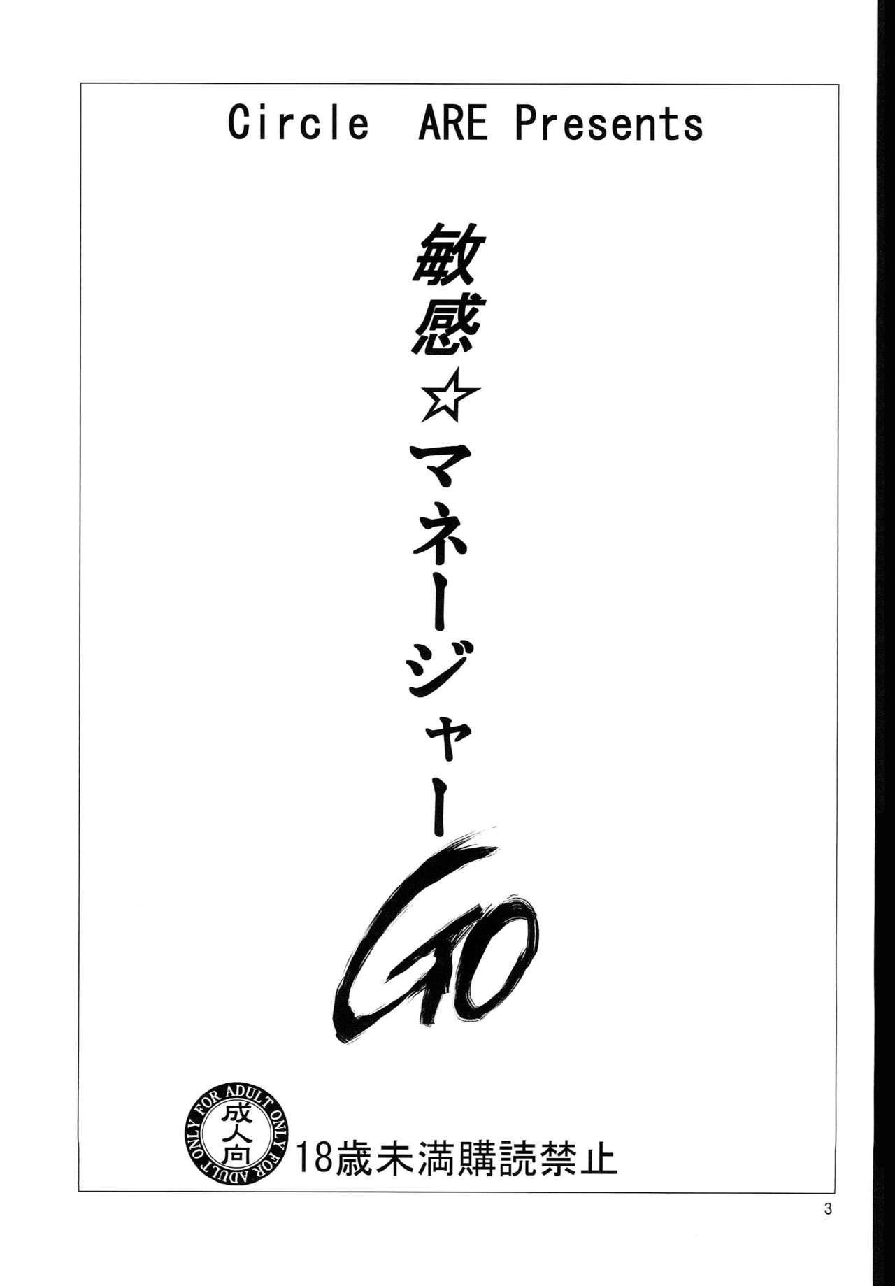 びんかん☆マネージャーGO