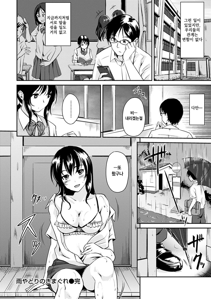 きまぐれ花びら+とらのあなリー