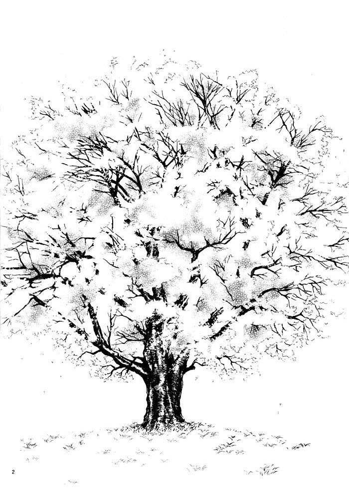 櫻狩りVol。 1 櫻狩りVol。 1