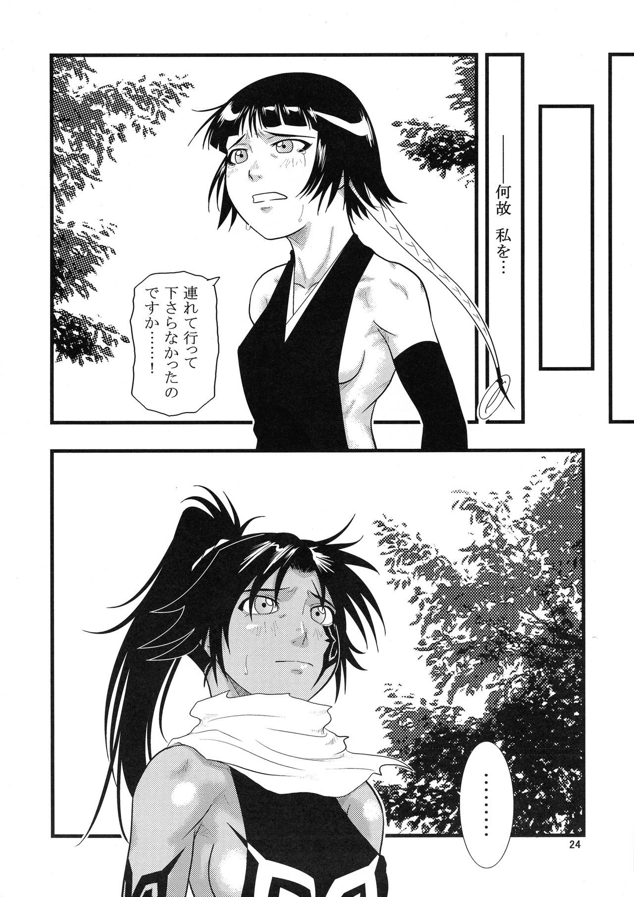 ニャン夜一から砕蜂の本へ ニャン夜一から砕蜂の本へ