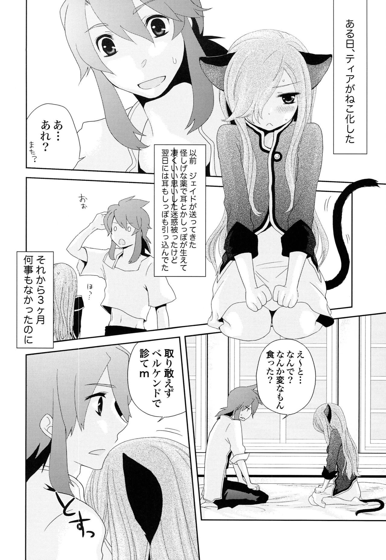 メシマセ味噌トルテ