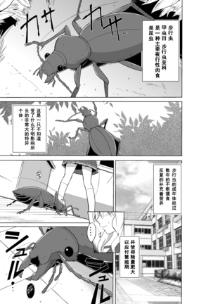 笹らのむしあそび（中国語訳）