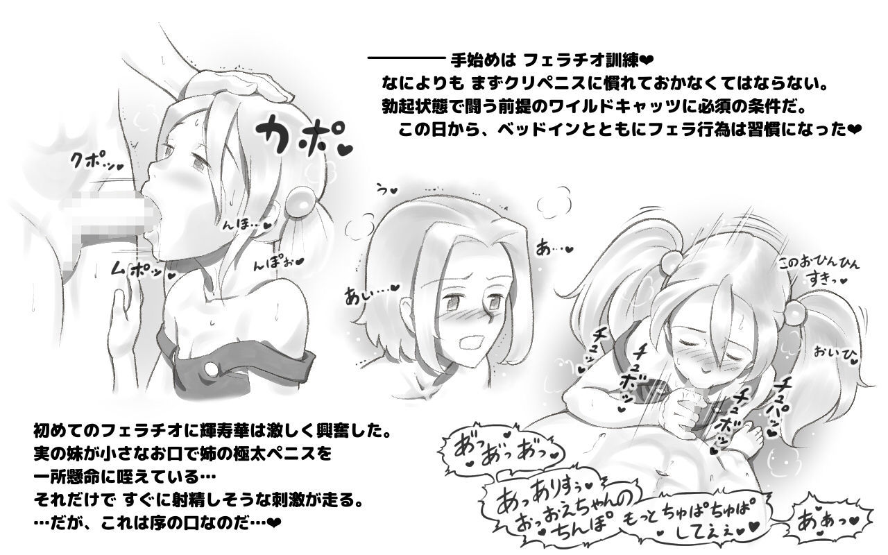 WILDCATS〜ふたなり地下バトル