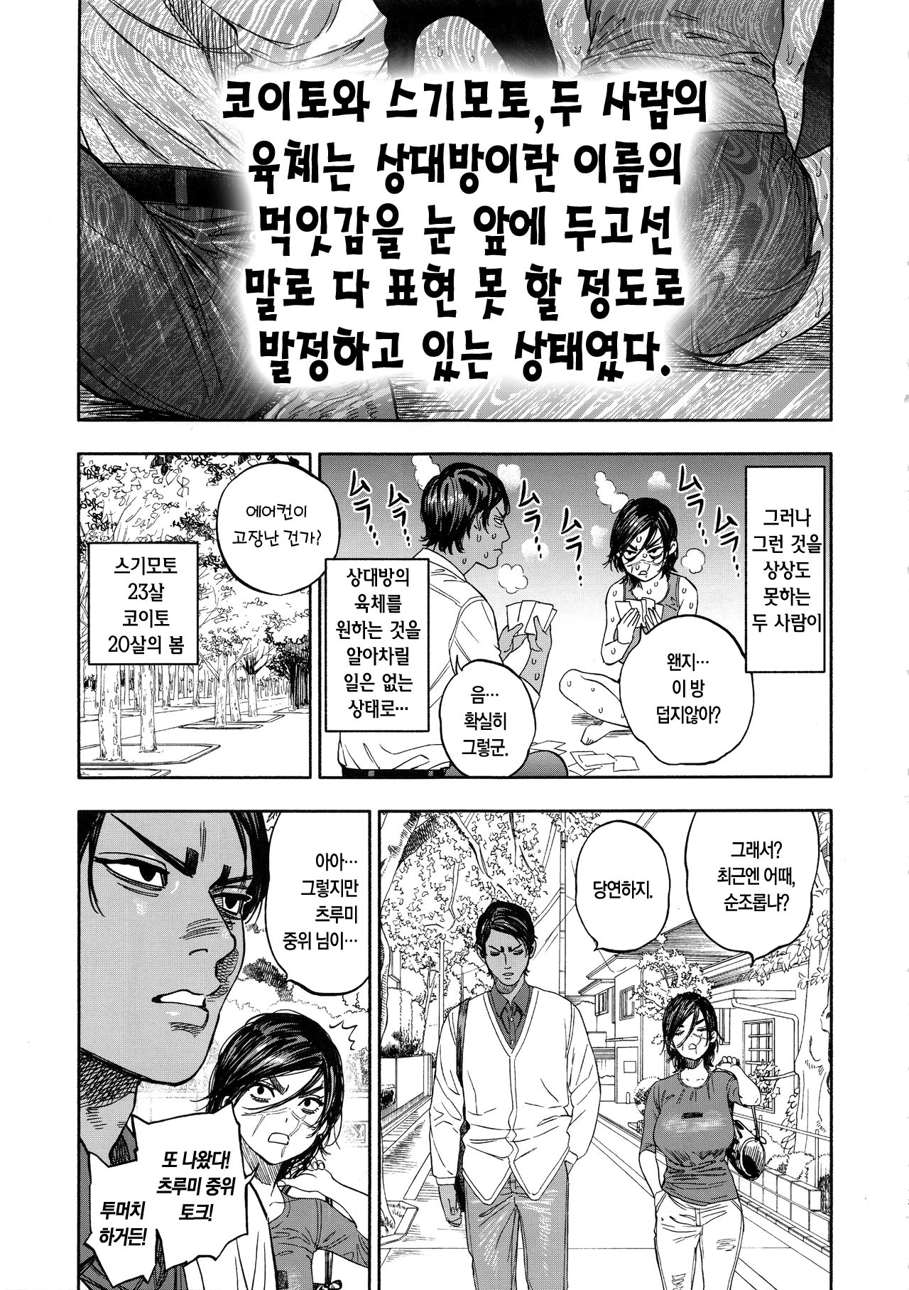 小杉| 코이스기