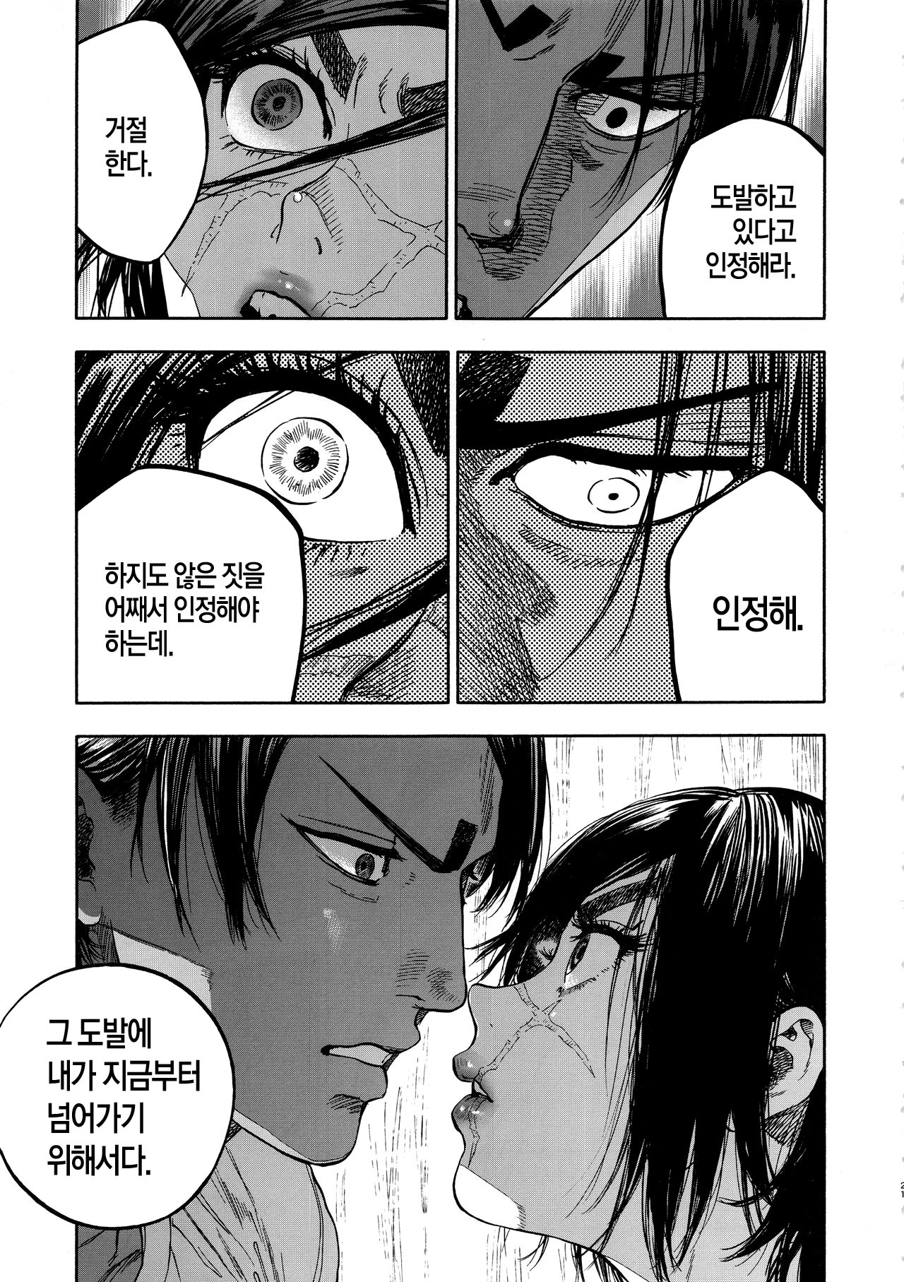小杉| 코이스기