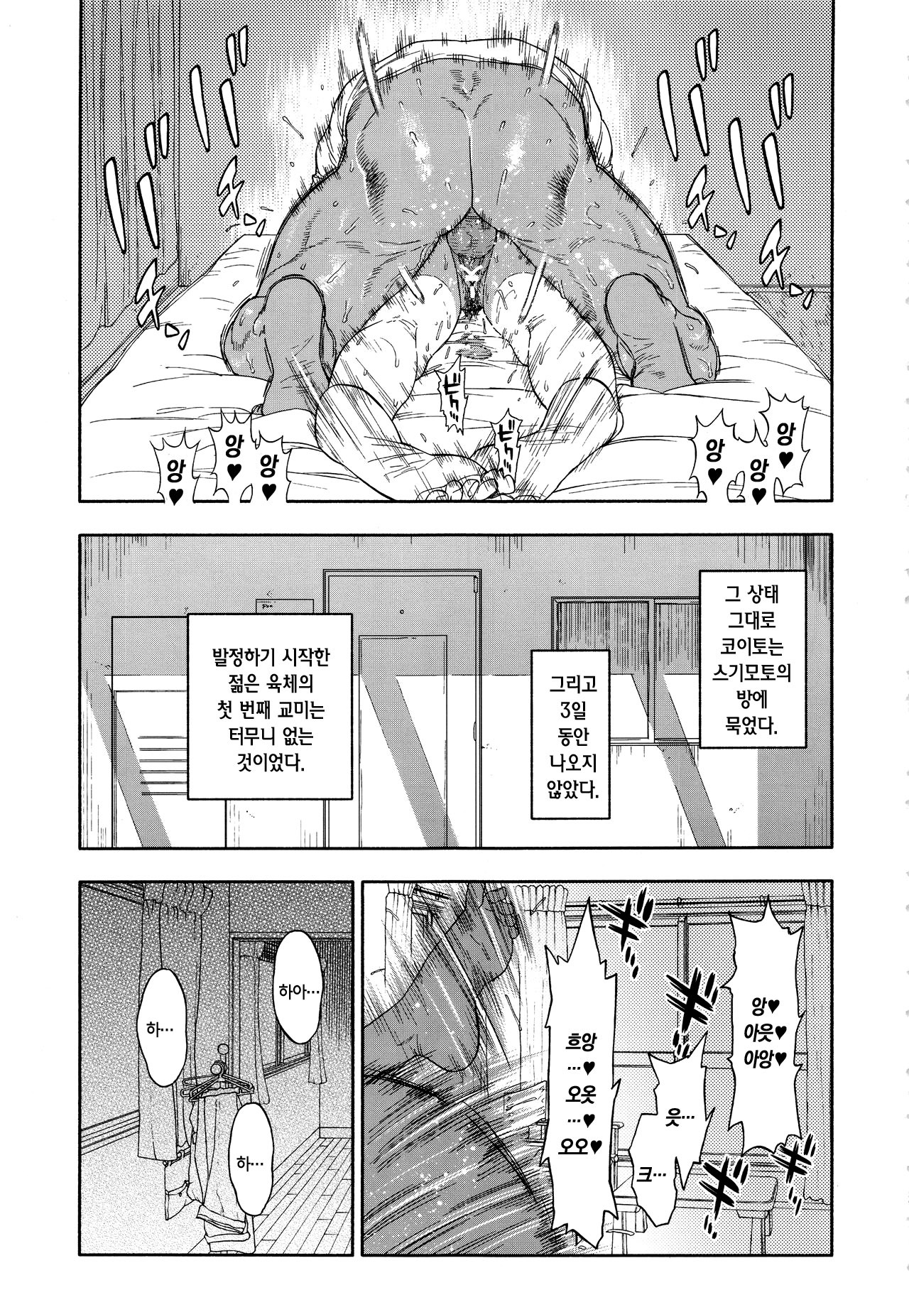 小杉| 코이스기