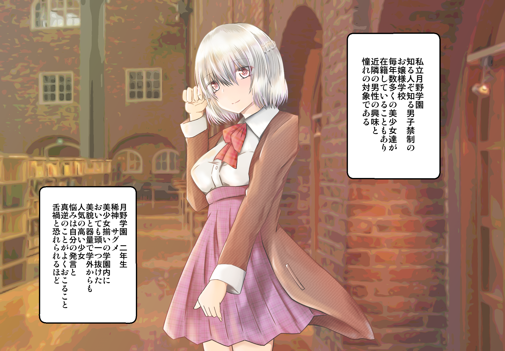 女子高生サグメ 痴漢電車編