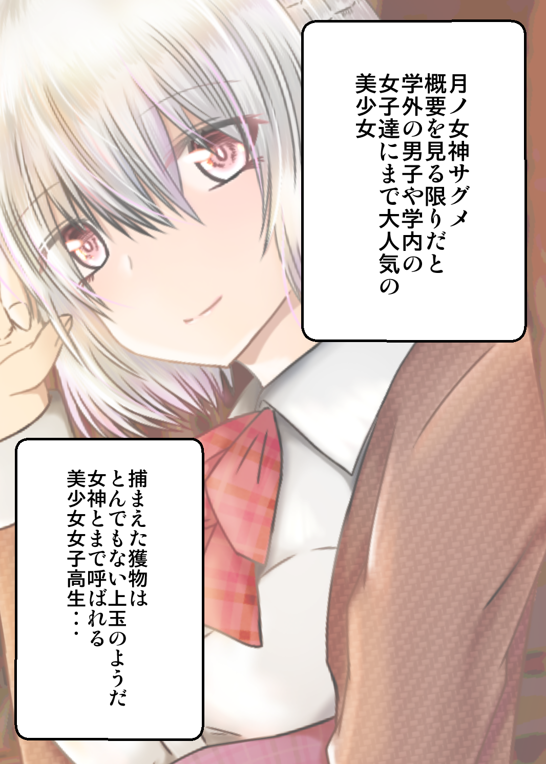 女子高生サグメ 痴漢電車編