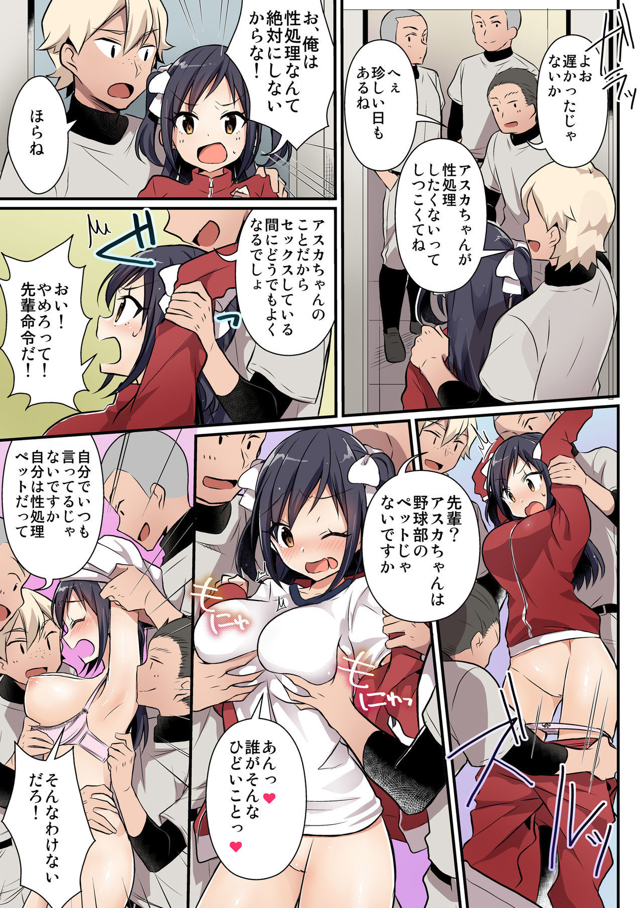 のだまぶの元エースはセイショリペット