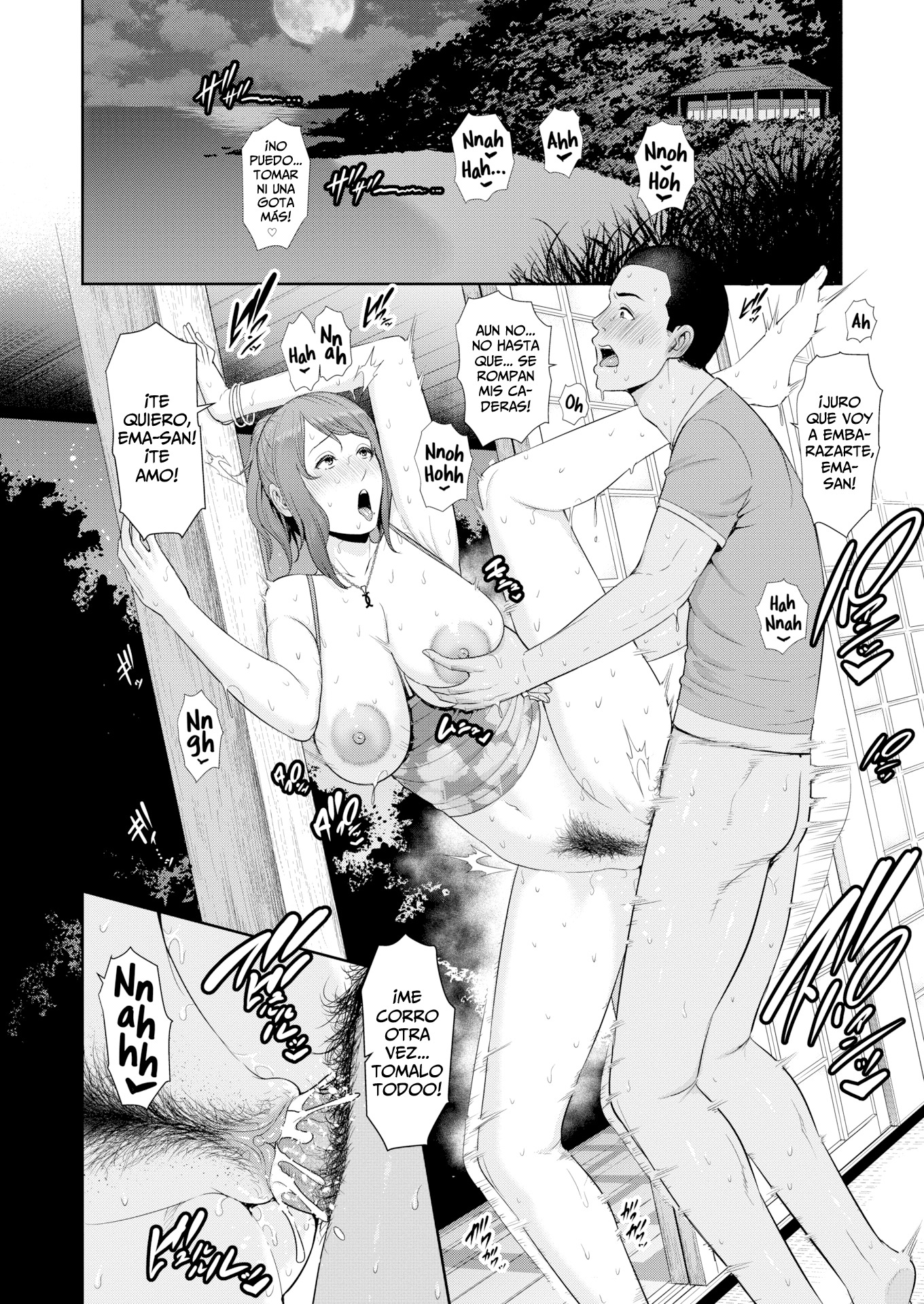 La Primavera de la Madurez Y El Apogeo de laFeminidad。 （打ち切り）