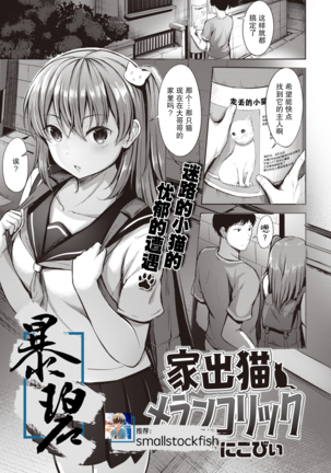 家出猫メランコリック|分離家出走小猫的忧郁 家出猫メランコリック|分離家出走小猫的忧郁