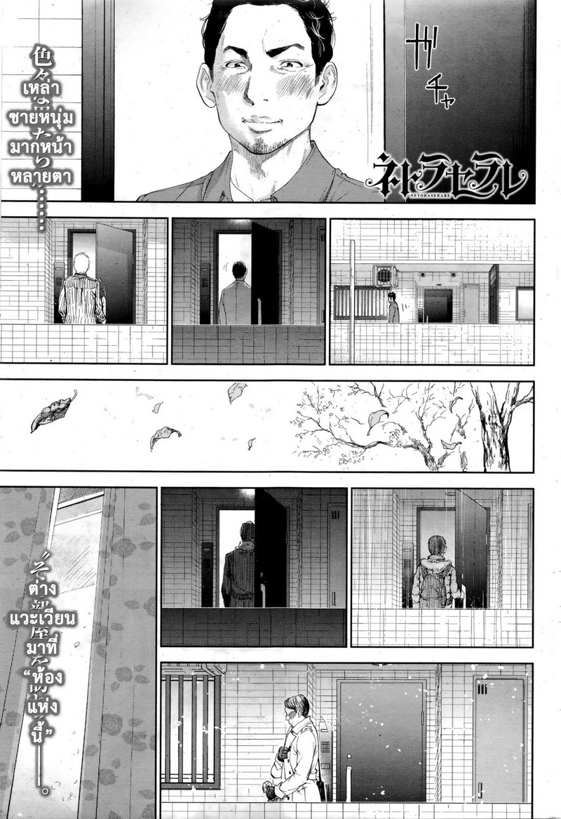 ネトラセラレVol.1-3