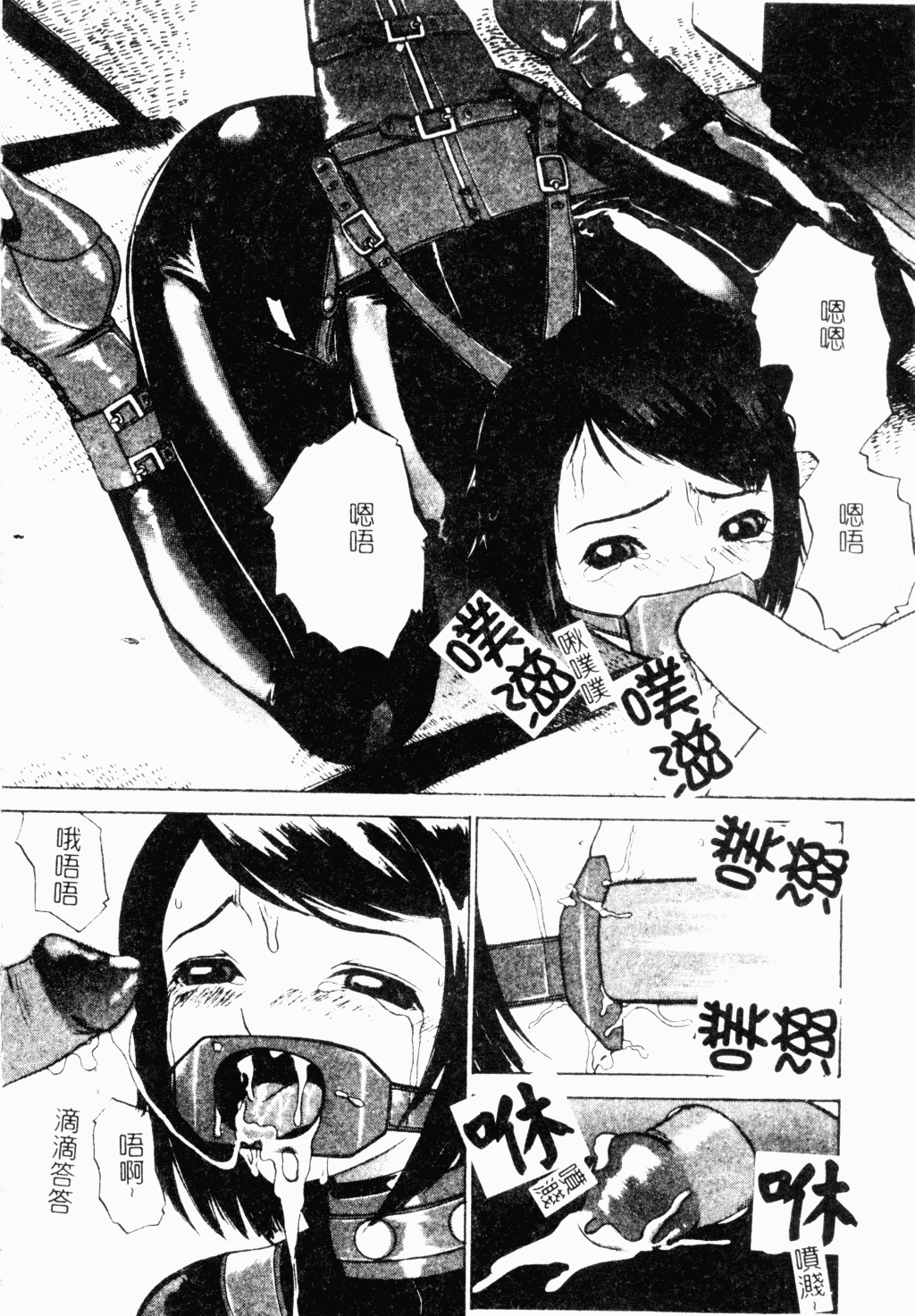 メス犬福寿