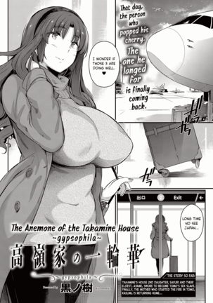 高嶺ケのいちりんそう〜カスミソウ〜|高嶺ハウスのアネモネ〜ジプソヒラ〜 高嶺ケのいちりんそう〜カスミソウ〜|高嶺ハウスのアネモネ〜ジプソヒラ〜