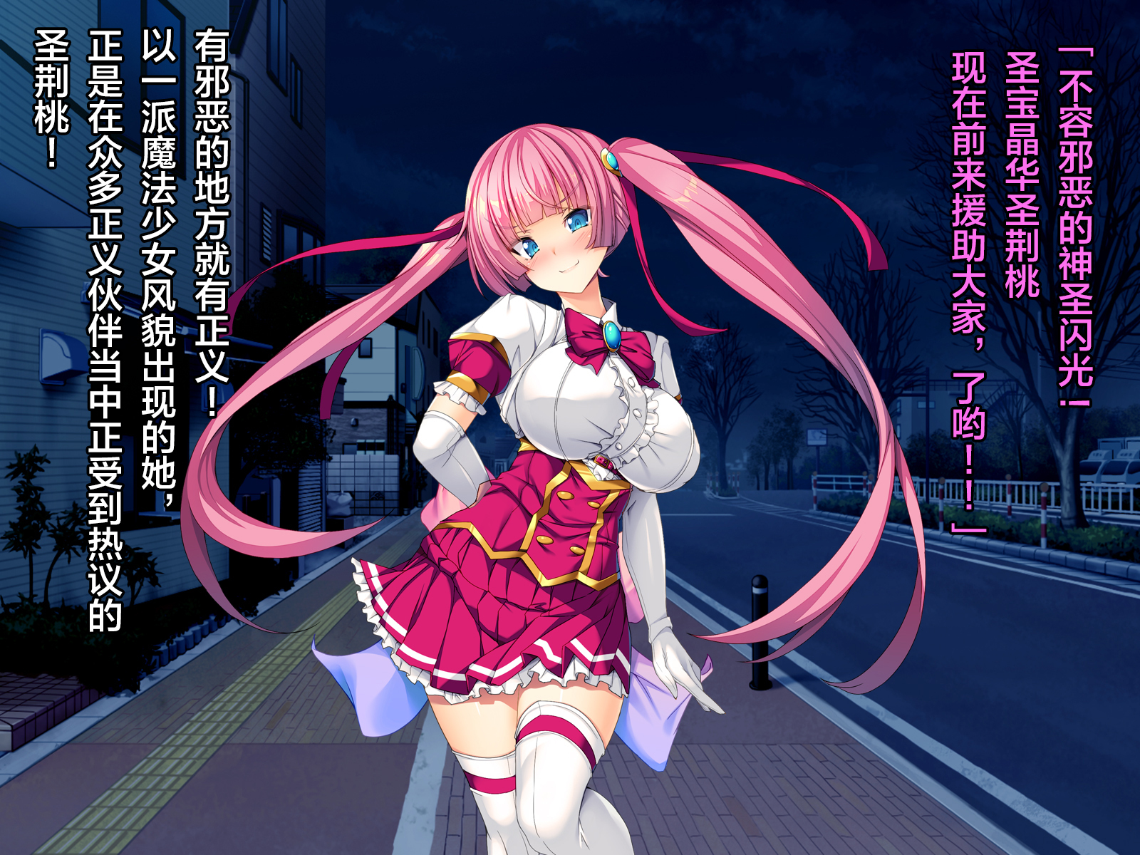 TS魔法少女聖チェリーくっくのあくおちせんのうちょうきょう編