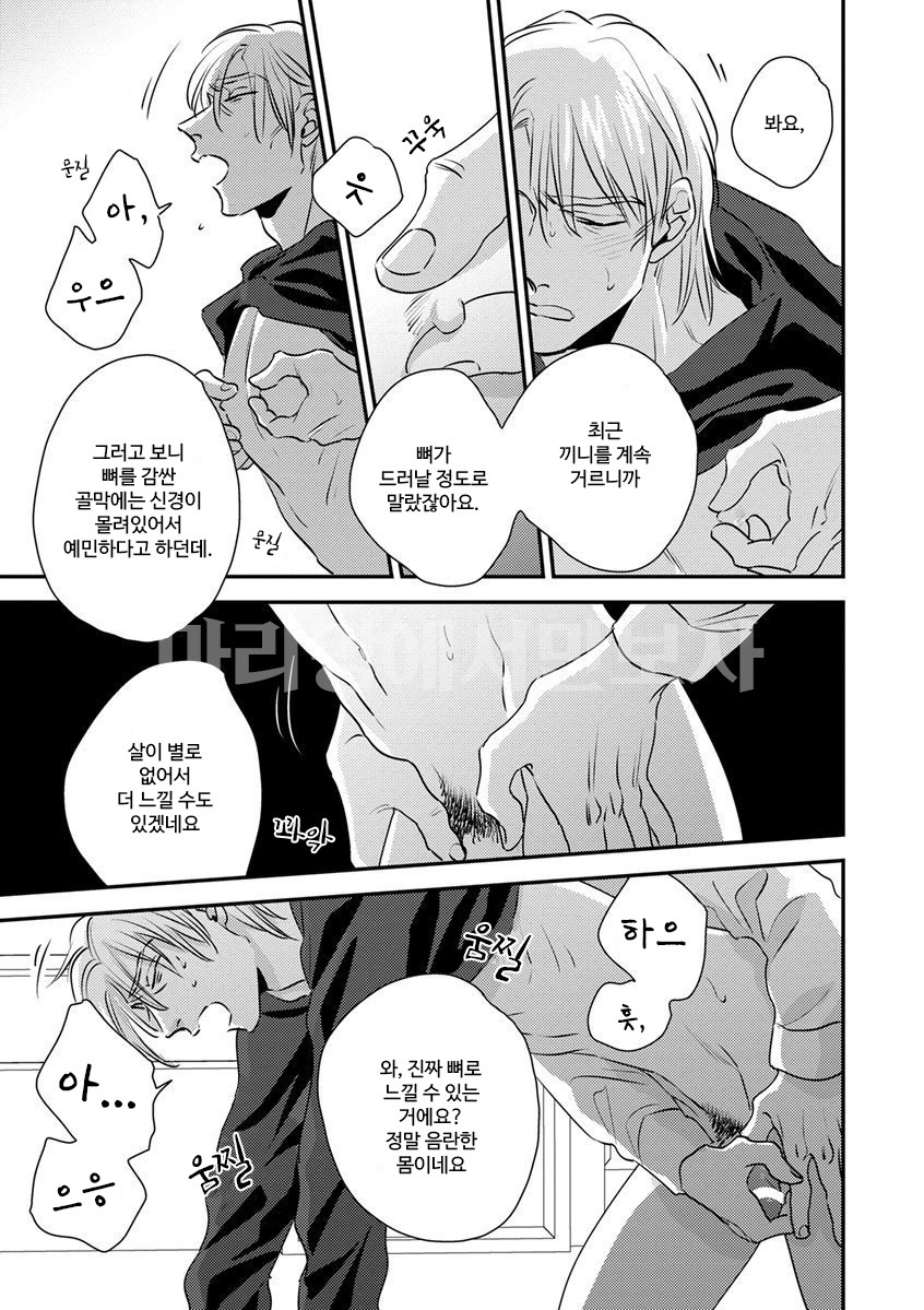 ドグマ