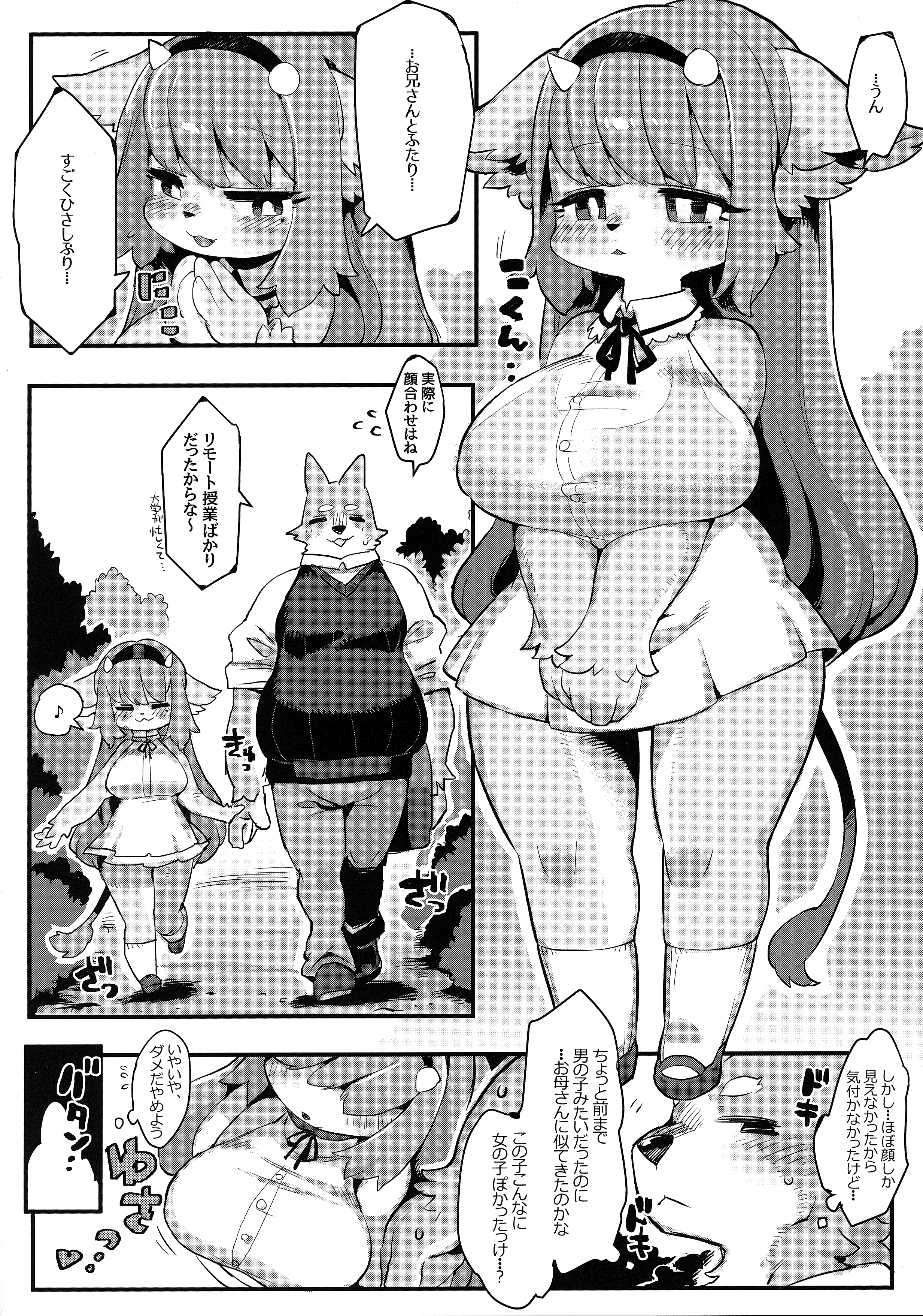 五光はおしまい