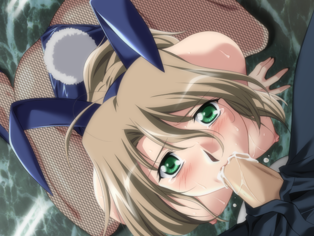 エッチなバニーさんは好きですか？ 2（打ち切り）