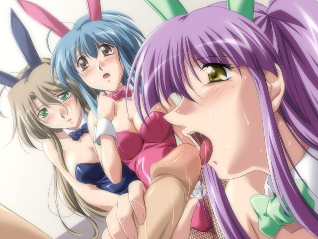 エッチなバニーさんは好きですか？ 2（打ち切り）