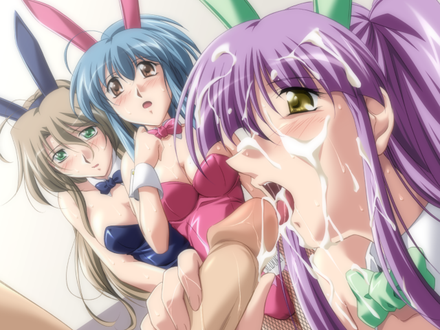 エッチなバニーさんは好きですか？ 2（打ち切り）