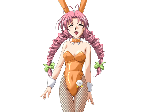 エッチなバニーさんは好きですか？ 2（打ち切り）