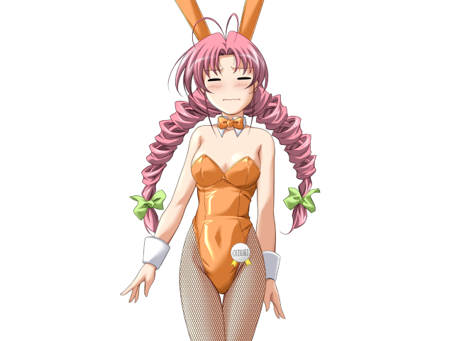 エッチなバニーさんは好きですか？ 2（打ち切り）