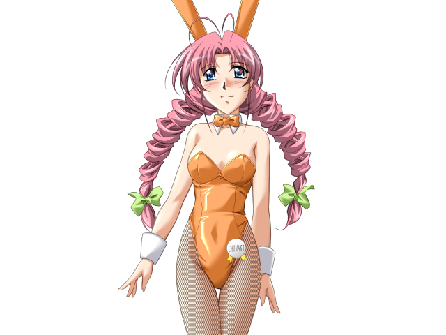 エッチなバニーさんは好きですか？ 2（打ち切り）