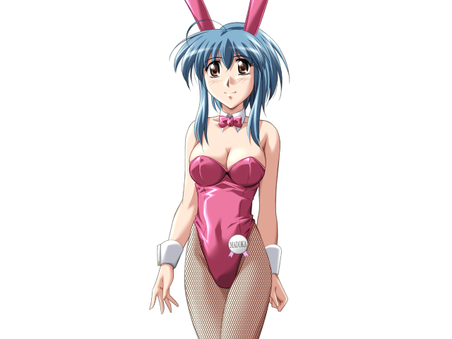 エッチなバニーさんは好きですか？ 2（打ち切り）