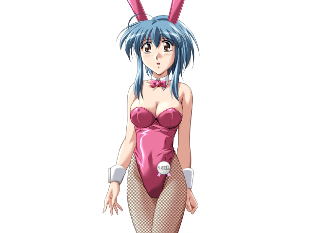 エッチなバニーさんは好きですか？ 2（打ち切り）