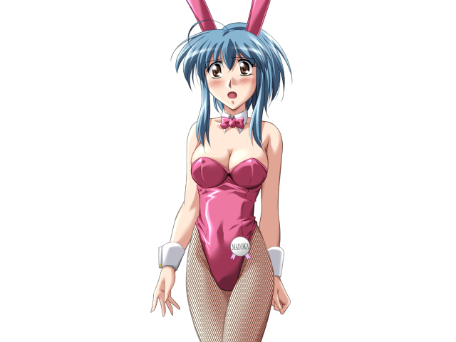 エッチなバニーさんは好きですか？ 2（打ち切り）
