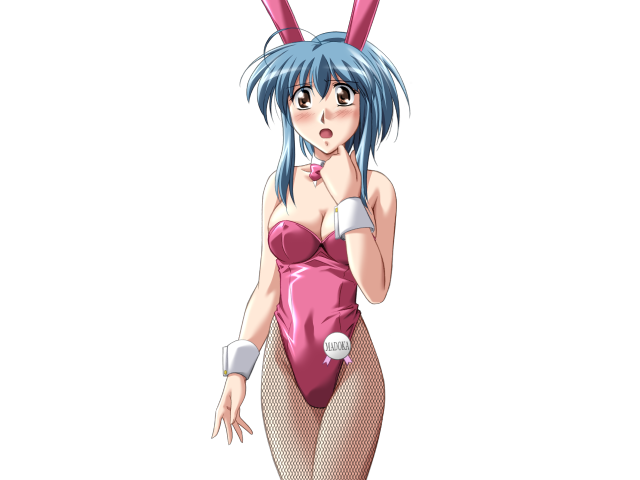エッチなバニーさんは好きですか？ 2（打ち切り）