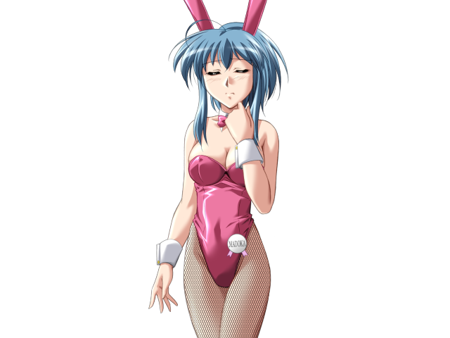 エッチなバニーさんは好きですか？ 2（打ち切り）