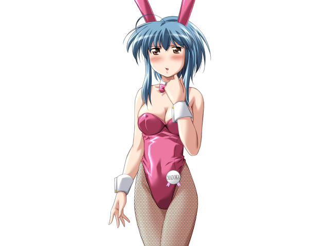 エッチなバニーさんは好きですか？ 2（打ち切り）