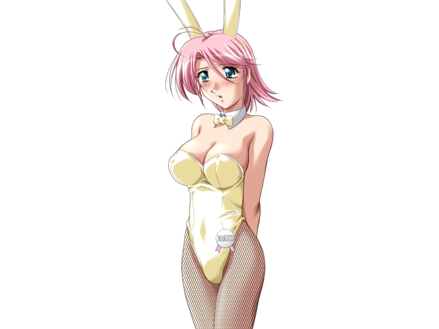 エッチなバニーさんは好きですか？ 2（打ち切り）