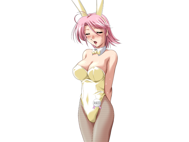エッチなバニーさんは好きですか？ 2（打ち切り）