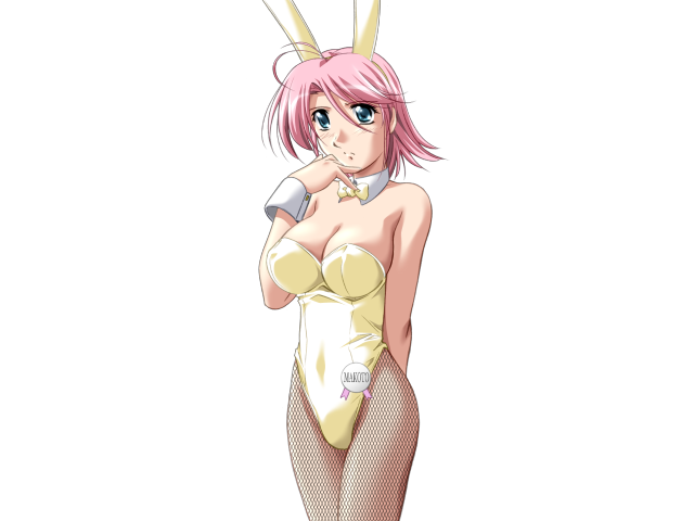 エッチなバニーさんは好きですか？ 2（打ち切り）