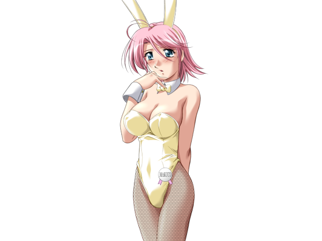 エッチなバニーさんは好きですか？ 2（打ち切り）