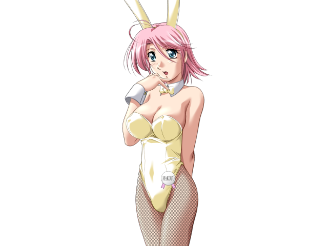エッチなバニーさんは好きですか？ 2（打ち切り）