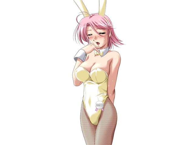 エッチなバニーさんは好きですか？ 2（打ち切り）