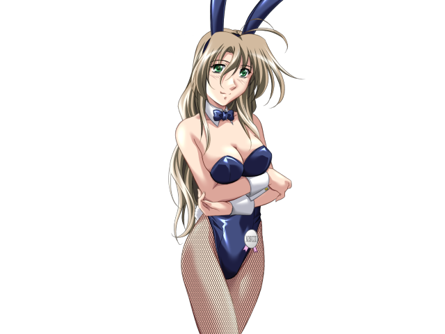 エッチなバニーさんは好きですか？ 2（打ち切り）