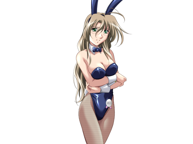 エッチなバニーさんは好きですか？ 2（打ち切り）