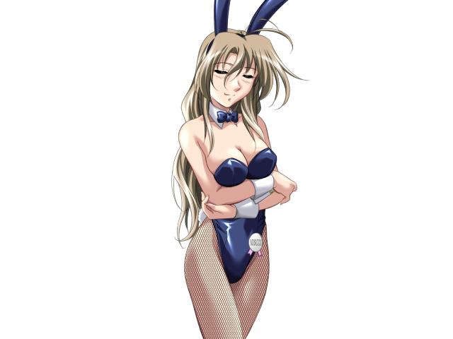 エッチなバニーさんは好きですか？ 2（打ち切り）