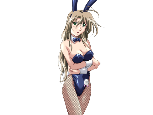 エッチなバニーさんは好きですか？ 2（打ち切り）