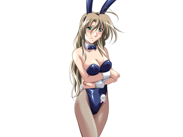 エッチなバニーさんは好きですか？ 2（打ち切り）