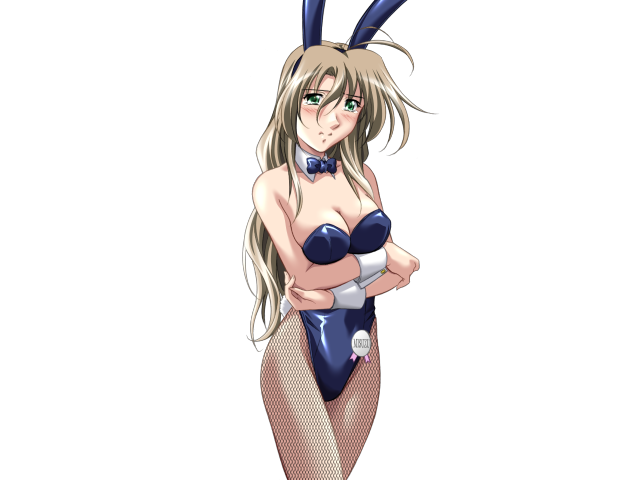 エッチなバニーさんは好きですか？ 2（打ち切り）