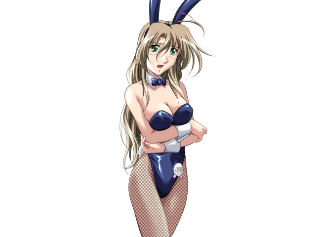 エッチなバニーさんは好きですか？ 2（打ち切り）