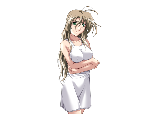 エッチなバニーさんは好きですか？ 2（打ち切り）
