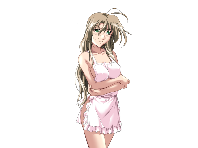 エッチなバニーさんは好きですか？ 2（打ち切り）