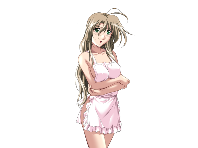 エッチなバニーさんは好きですか？ 2（打ち切り）