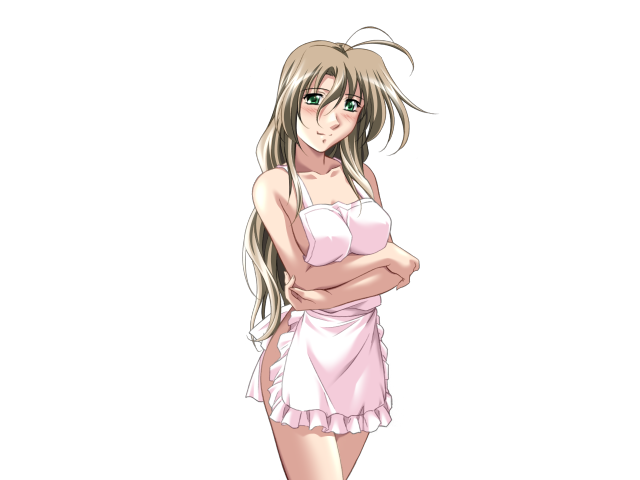 エッチなバニーさんは好きですか？ 2（打ち切り）